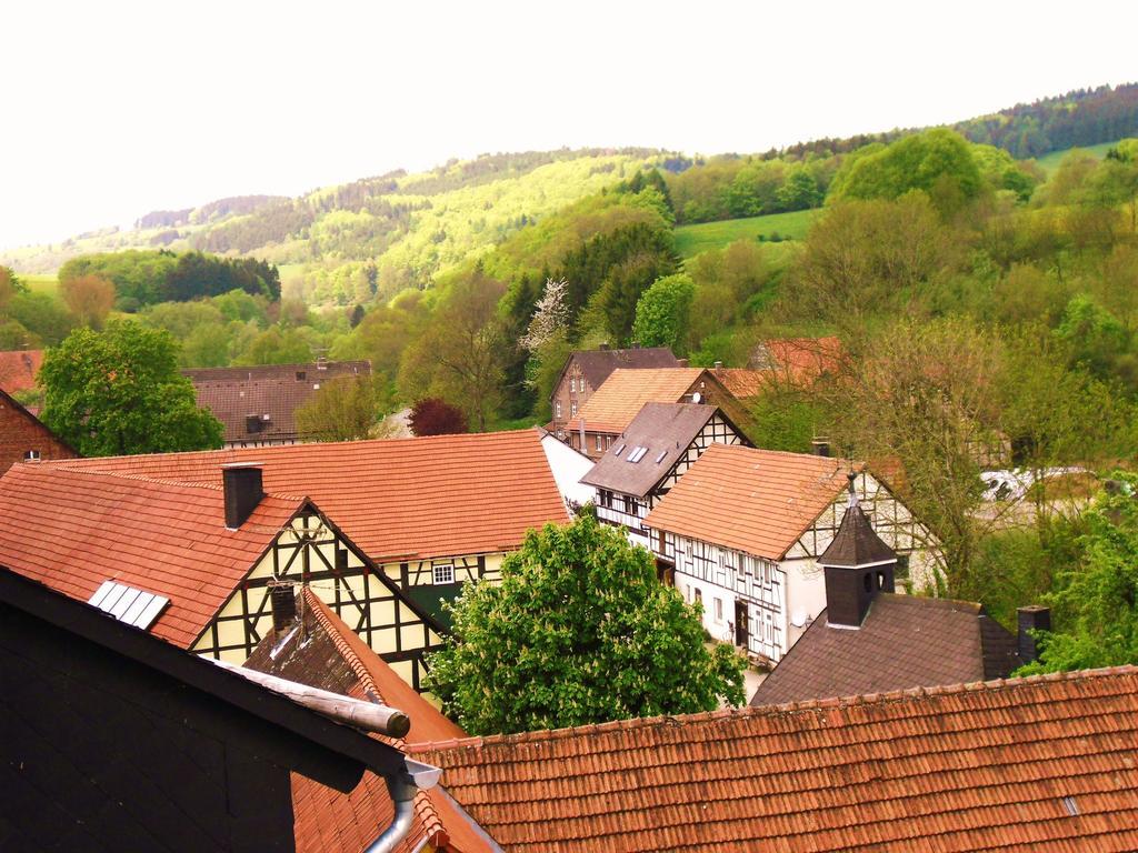 Apartment Preising Willingen  Exteriér fotografie